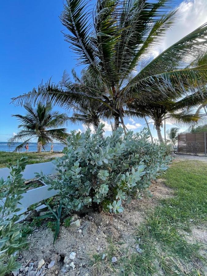 Appartement La Perle, T2 Les Pieds Dans L'Eau A 50M De La Mer Saint-Francois  Exterior photo